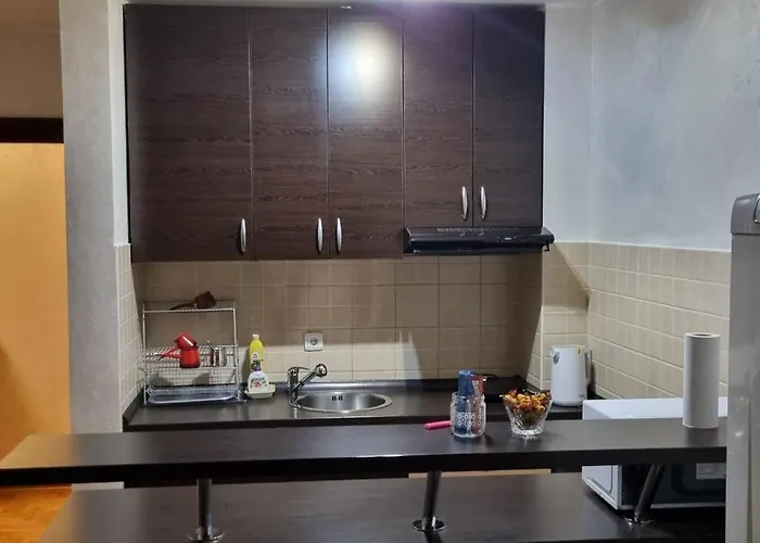 아파트 Vena 베오그라드